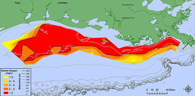 L'estensione della zona morta: credit NOAA