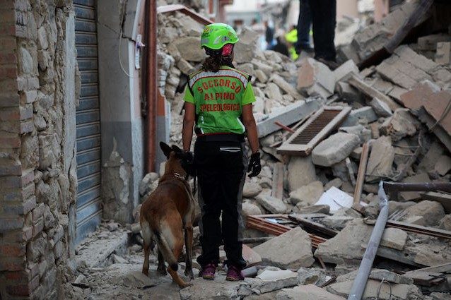 I 5 cani più coraggiosi d'Italia: chi sono gli eroi che ci salvano la vita ogni giorno