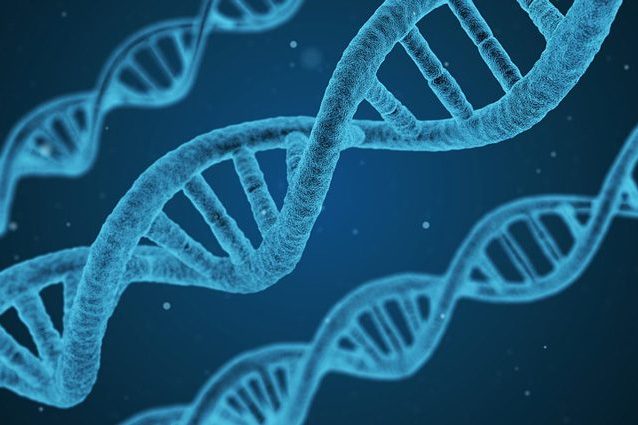 Editing su embrioni umani: corretto da malattia un 'mattone' di DNA, è la prima volta