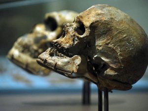 L'uomo moderno è arrivato più di 300mila anni fa: come cambia la nostra storia