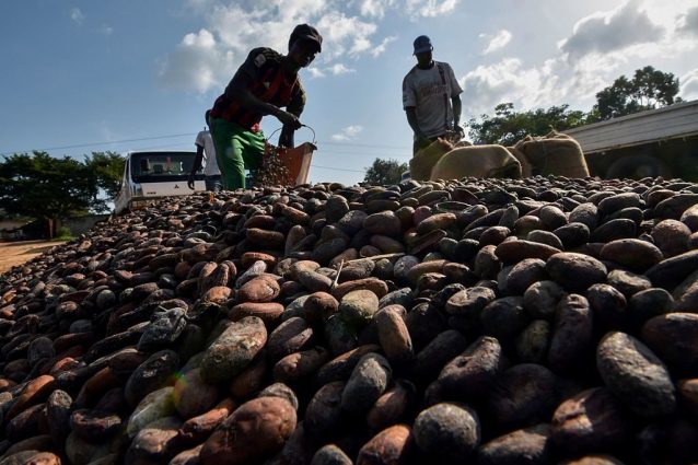 Il cioccolato è come l’olio di palma per l’ambiente: deforestazioni e morti sulla coscienza