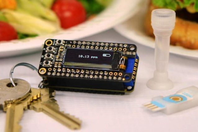 Allergie e intolleranze alimentari, creato portachiavi hi-tech che individua 5 allergeni