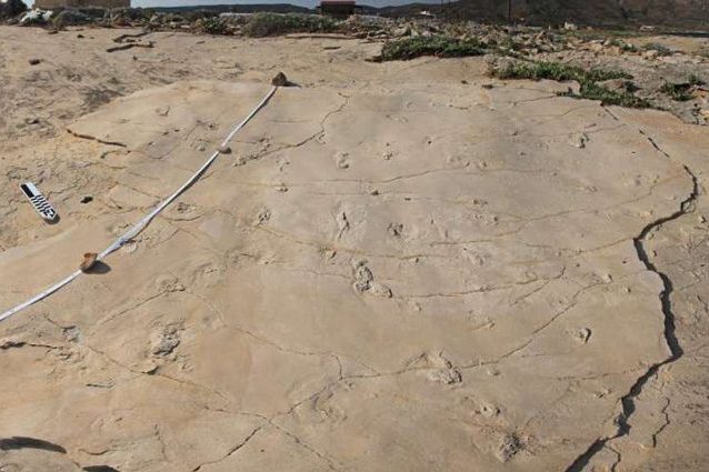 Perché questo hominino trovato a Creta potrebbe ribaltare la storia dell'evoluzione umana