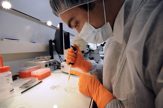Cancro, trasformare ogni cellula per sconfiggere la malattia: la speranza in un algoritmo