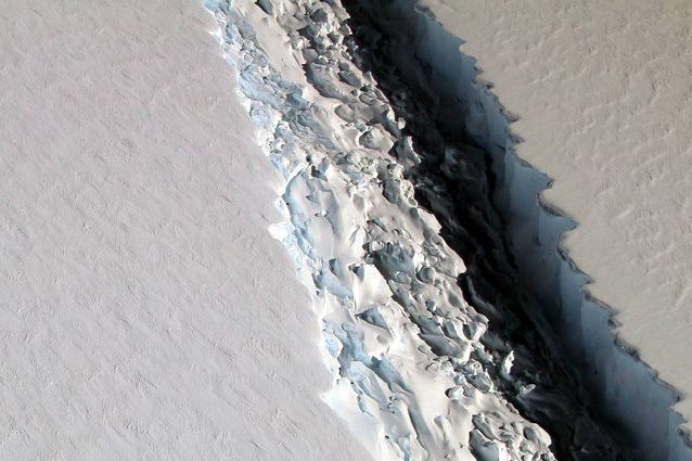 Un ecosistema incontaminato sotto questo mega iceberg: corsa contro il tempo per studiarlo