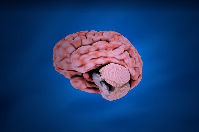 Droge psichedeliche testate su mini cervelli: come possono curare la depressione