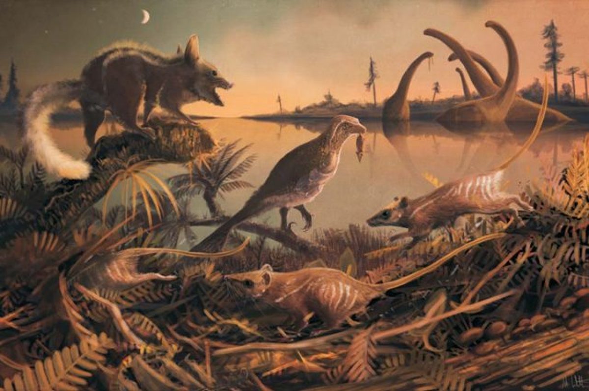 Quante Puntate Sono La Scogliera Dei Misteri