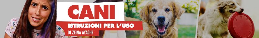 Il Cane Mangia Tutto Quello Trova Perché E Come Evitarlo