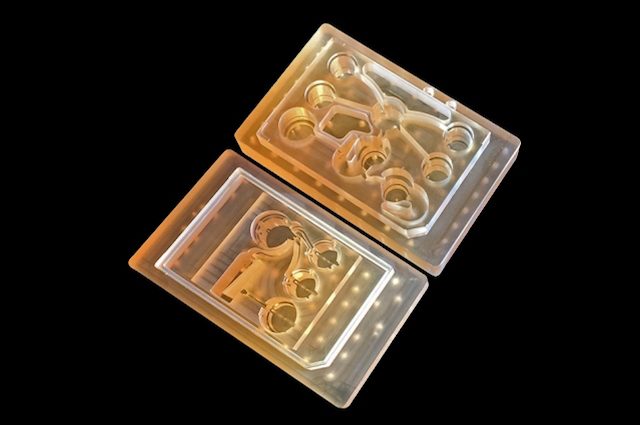 ‘Corpo in un chip’, così testano i farmaci su organi hi-tech: verso la fine dei test su animali