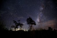 Lattea nero micio