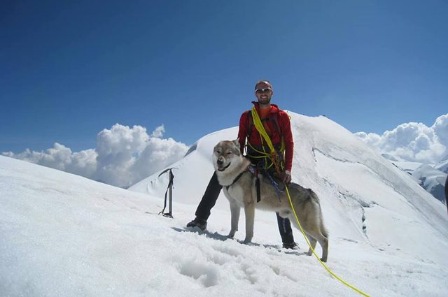 Nepal, il cane alpinista raggiunge 4mila metri d'altezza: ha scalato il ...