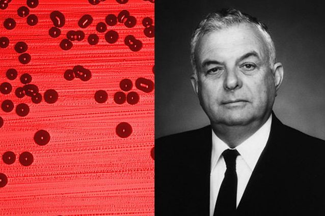 dottor mozzi problemi prostata