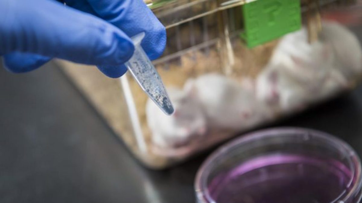 Uno scienziato testa il