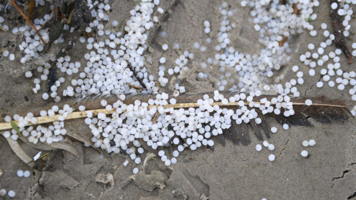 Nurdles attorno a una piuma