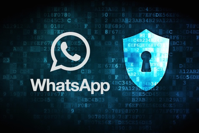 WhatsApp sicurezza Open Whisper System