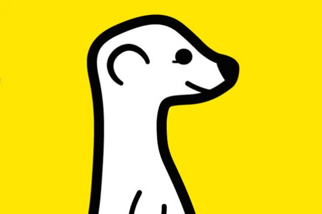 meerkat
