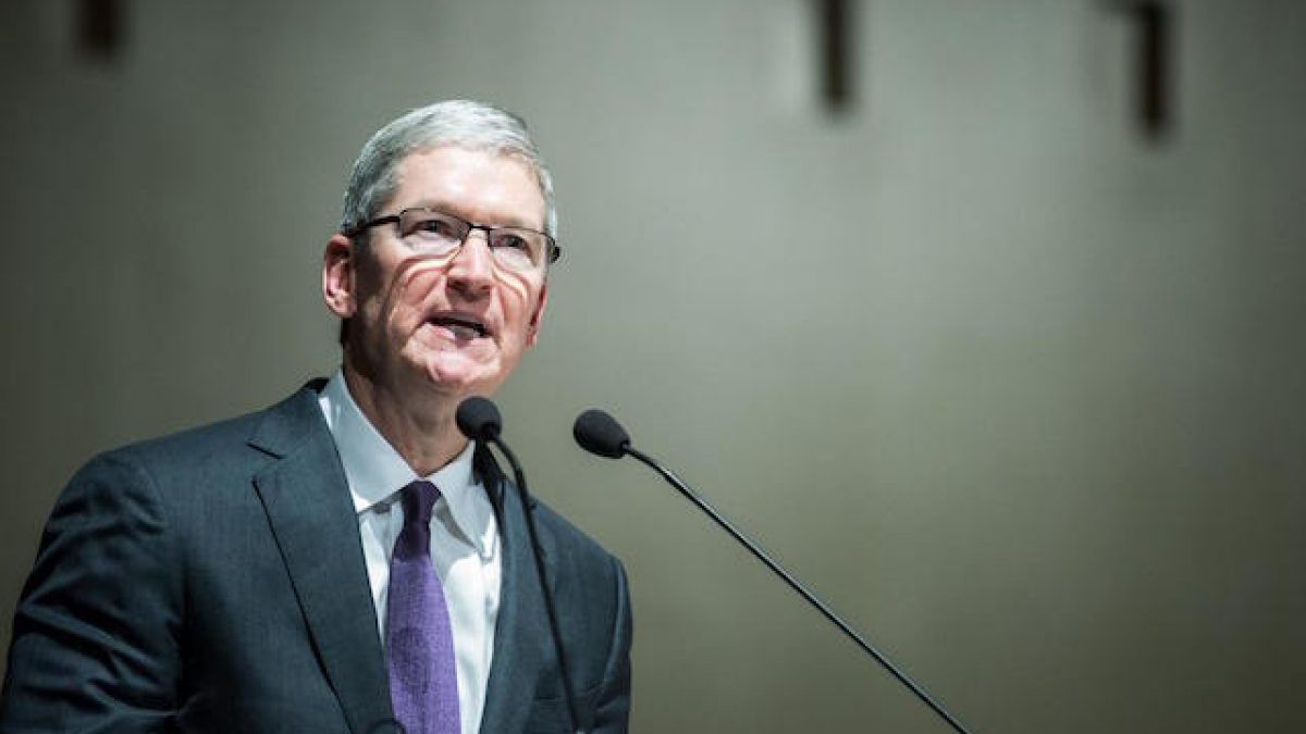 tim cook bocconi