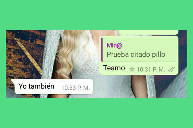 WhatsApp, disponibile il nuovo aggiornamento: tra le novità le citazioni dei messaggi