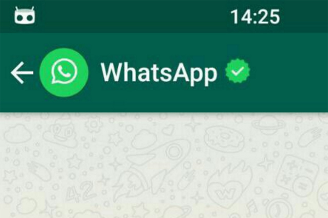 WhatsApp, in arrivo una chat dedicata alle ultime novità dell'app