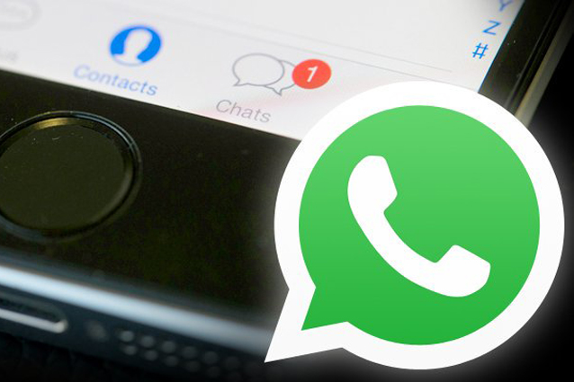 WhatsApp per iPhone si aggiorna: tra le novità testi, emoji e disegni su Foto e Video