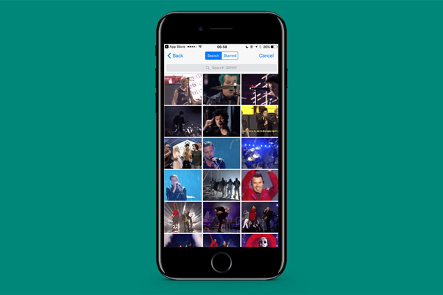 WhatsApp per iPhone si aggiorna: ecco come inviare GIF animate