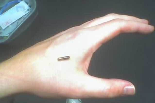 Chip sottopelle al posto del tesserino, l’iniziativa di un’azienda belga che fa discutere