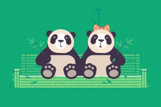 pornhub-porno-panda