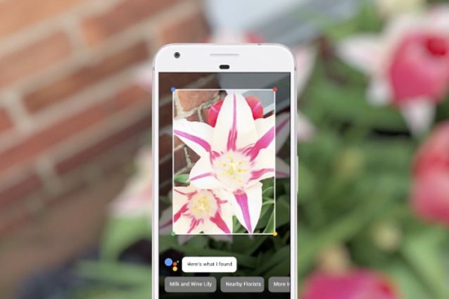 Google I/O, con Lens lo smartphone riconosce qualsiasi oggetto inquadrato con la fotocamera