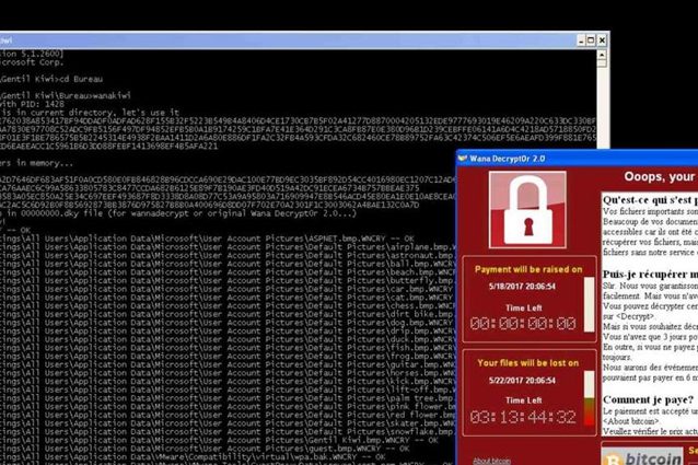 Wanakiwi, lo strumento per eliminare il ransomware WannaCry (senza pagare il riscatto)