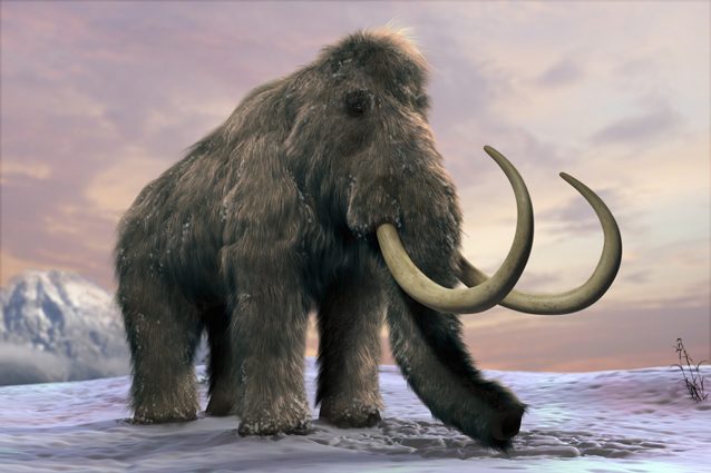 Il fondatore di PayPal vuole resuscitare i mammut