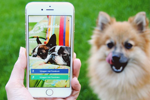 Pawshake, l’Airbnb per gli animali che fa incontrare padroni e pet sitter