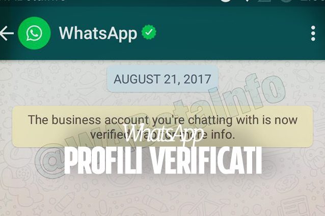 WhatsApp Business, arriva la spunta verde per i profili verificati