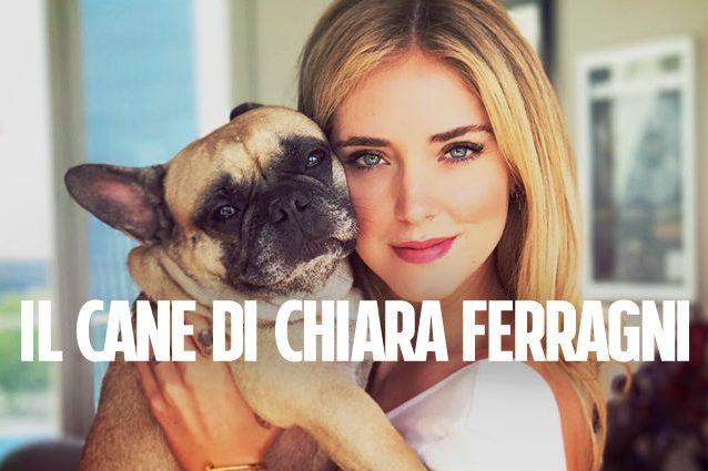 Il cane di Chiara Ferragni ha più follower di te su Instagram