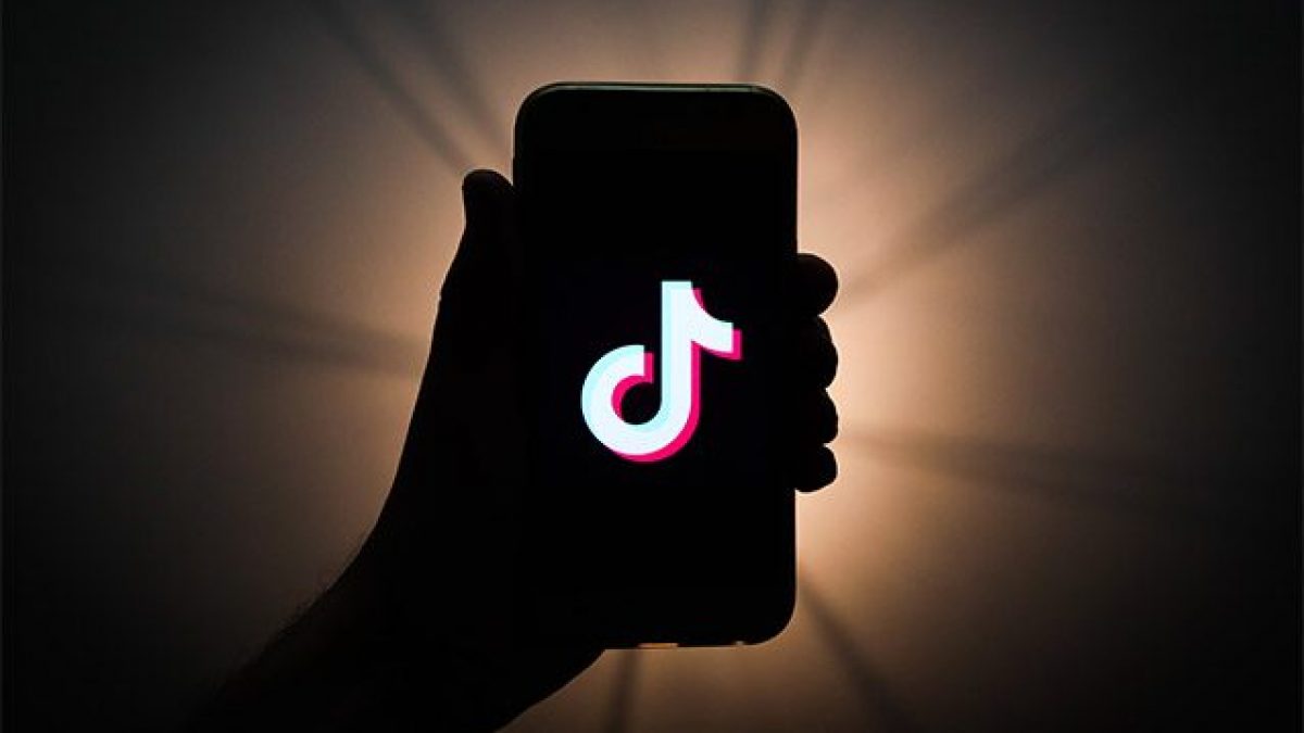 tiktok rapporto trasparenza